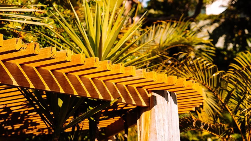 Roof of Timber Pergola